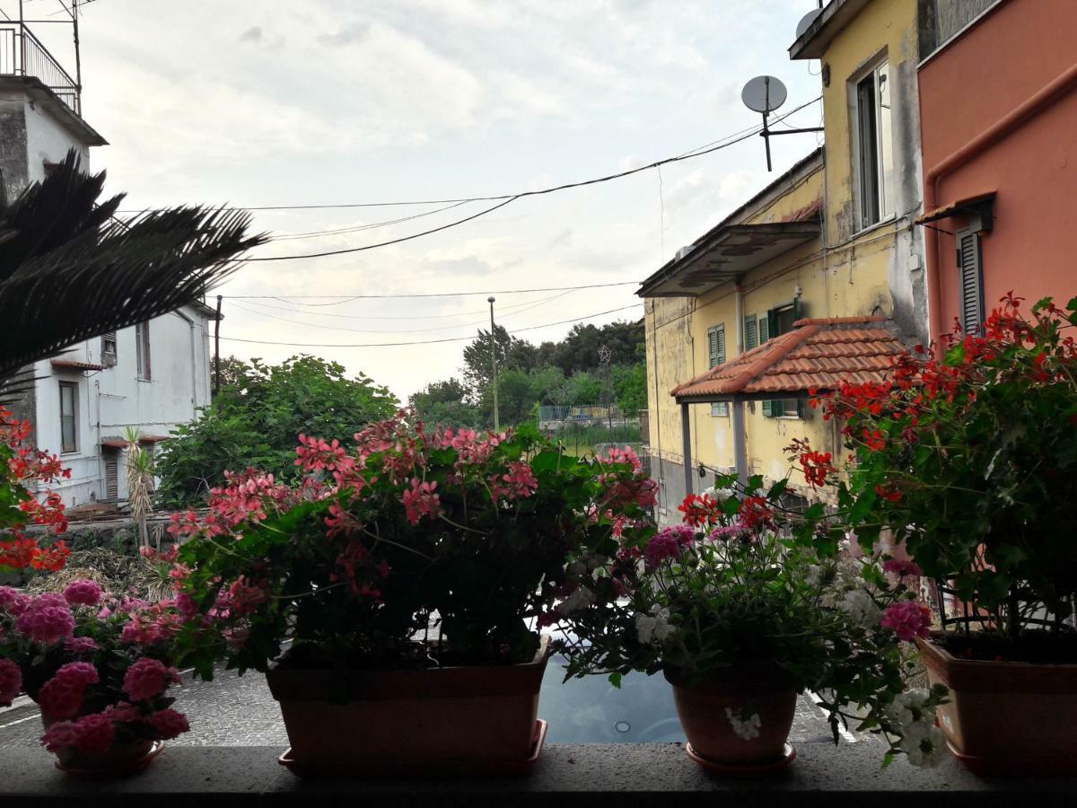 La Caldera Del Vesuvio Bed & Breakfast Ercolano Dış mekan fotoğraf